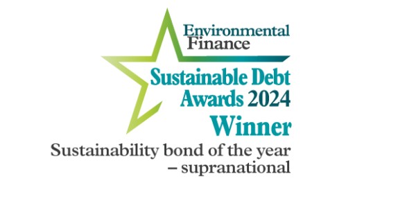 Sustainable Debt Award Winner